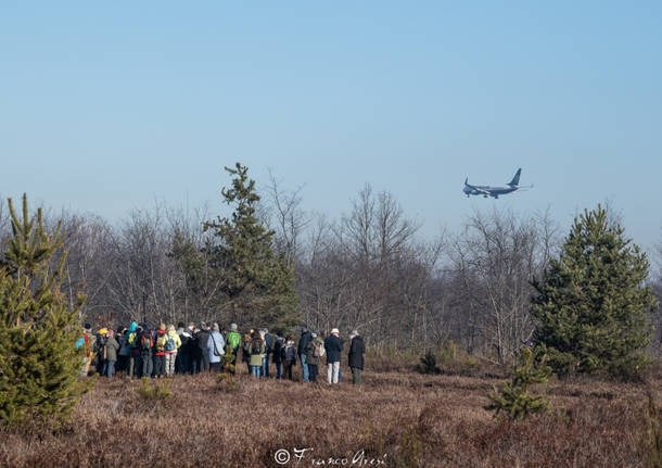 Il grande successo del bioblitz nella brughiera attorno a Malpensa