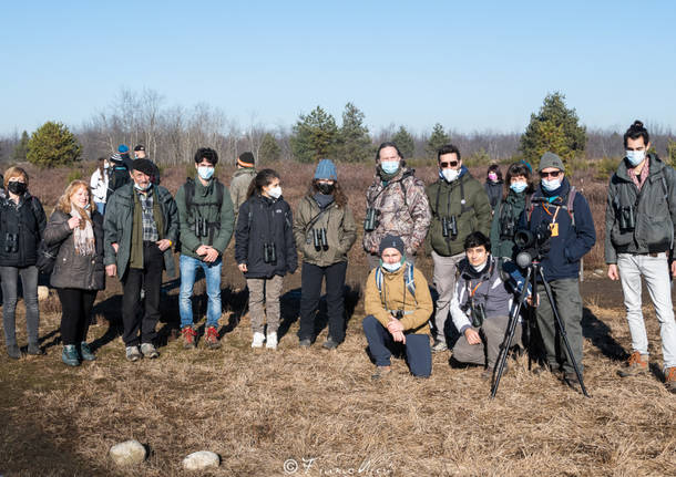 Il grande successo del bioblitz nella brughiera attorno a Malpensa