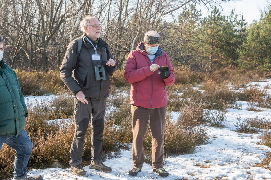 Il grande successo del bioblitz nella brughiera attorno a Malpensa