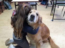 Cooper un cane per amico alla scuola primaria di Casciago