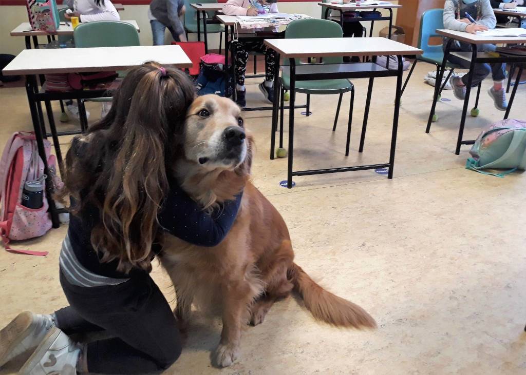 Cooper un cane per amico alla scuola primaria di Casciago