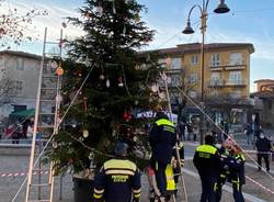 "Festa dell'Albero" a Busto Garolfo