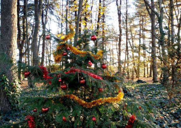 Albero di Natale al Parco Alto Milanese