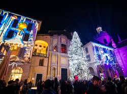 albero natale città dei balocchi