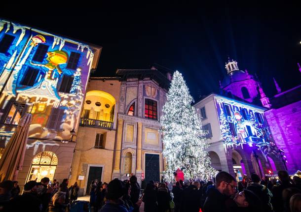 albero natale città dei balocchi