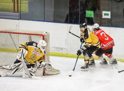 hockey su ghiaccio mastini varese dobbiaco icebears