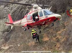 I Vigili del fuoco salvano in elicottero un cane smarrito sul Mottarone