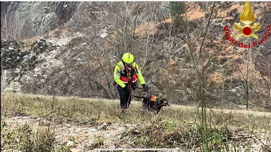 I Vigili del fuoco salvano in elicottero un cane smarrito sul Mottarone