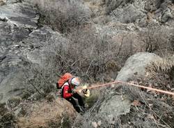 I Vigili del fuoco salvano in elicottero un cane smarrito sul Mottarone