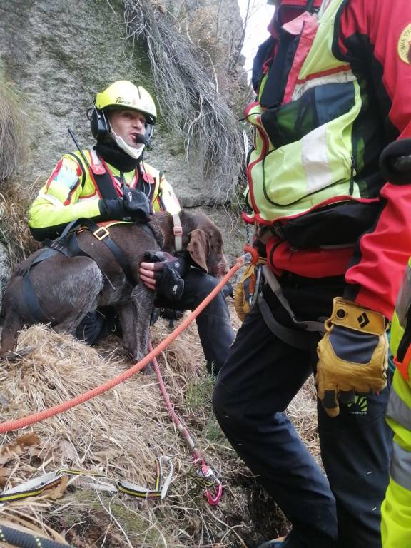 I Vigili del fuoco salvano in elicottero un cane smarrito sul Mottarone