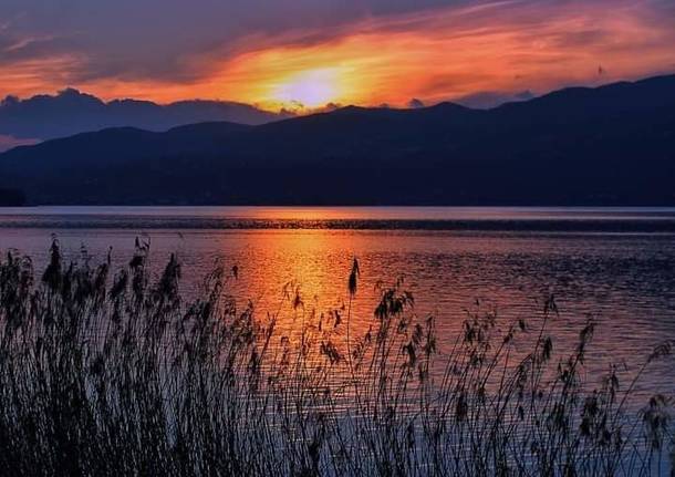 Ispra sul Lago Maggiore - Dajana Albertini