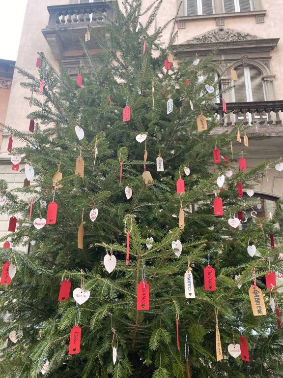 L'albero dei nuovi nati a Gallarate