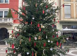 L'albero dei nuovi nati a Gallarate