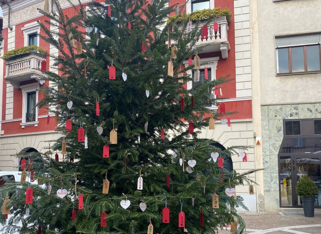 L'albero dei nuovi nati a Gallarate