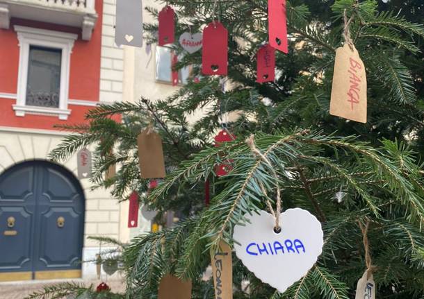 L'albero dei nuovi nati a Gallarate