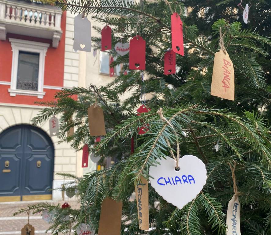 L'albero dei nuovi nati a Gallarate