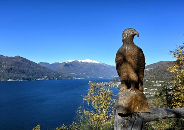 lago maggiore - marino foina