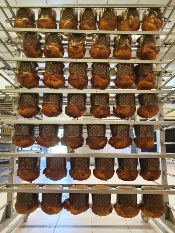 Le proposte natalizie del panificio pasticceria Baviello