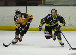 mastini varese valdifiemme tilaro roupec