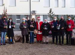 ospedale Angera amor albero di natale