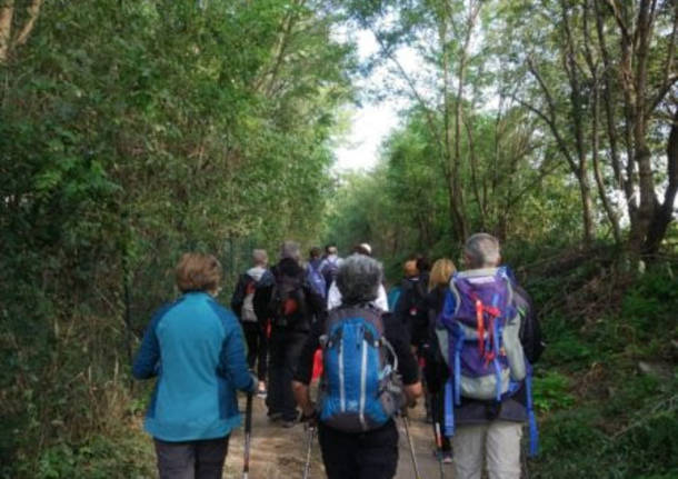 Un anno di educazione ambientale lungo la Valle del Torrente Lura