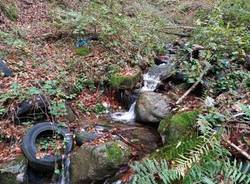 pulizia torrente bistecche Varese 