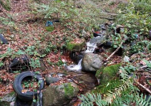 pulizia torrente bistecche Varese