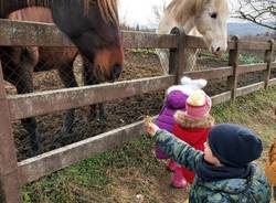 Scuola materna Lissago open day