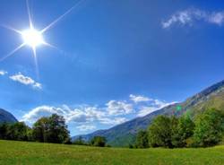 sole