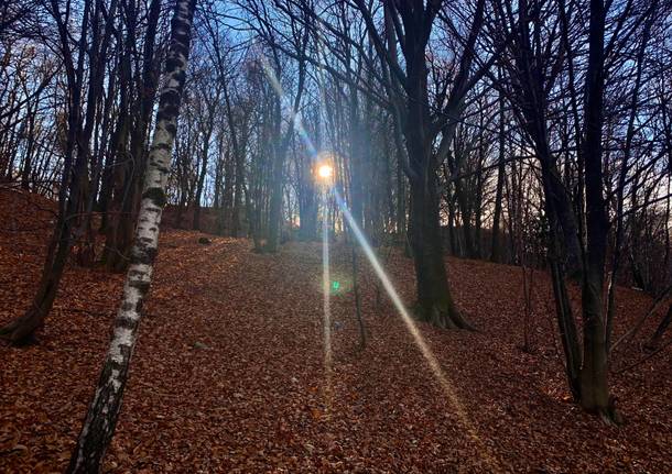 Ultimo scorcio d'autunno foto di Elena De Vincenti