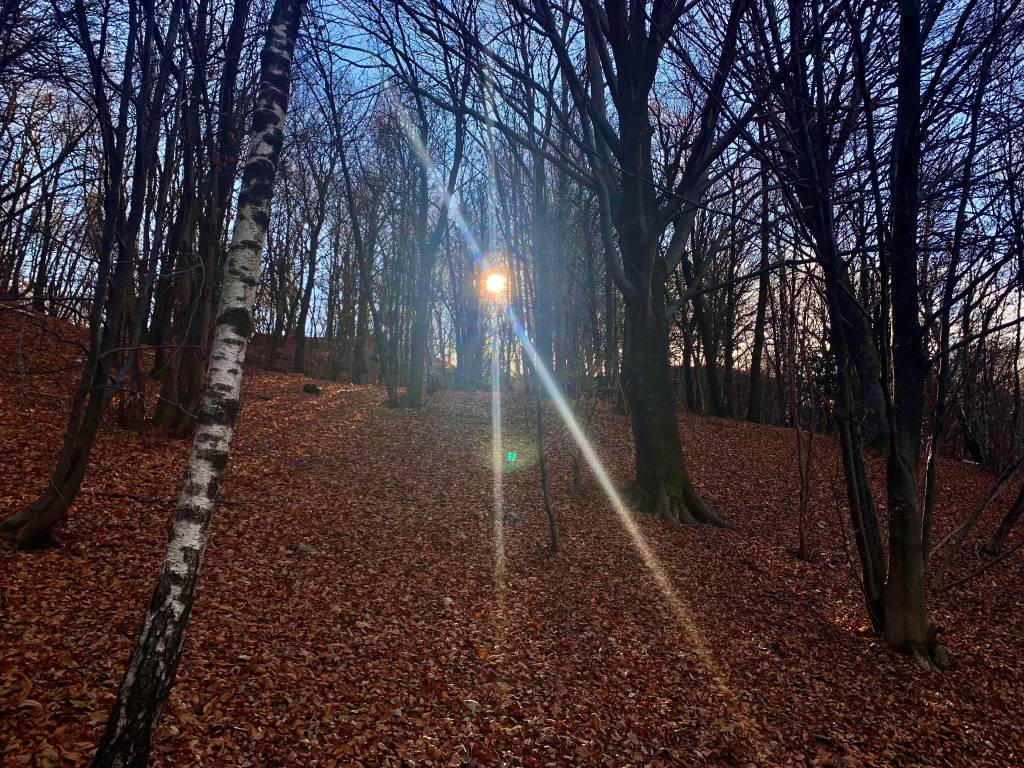 Ultimo scorcio d'autunno foto di Elena De Vincenti