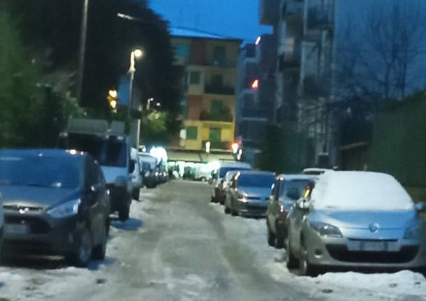 varese generiche