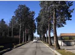 viale rimembranze progetto riqualificazione Lonate Pozzolo 