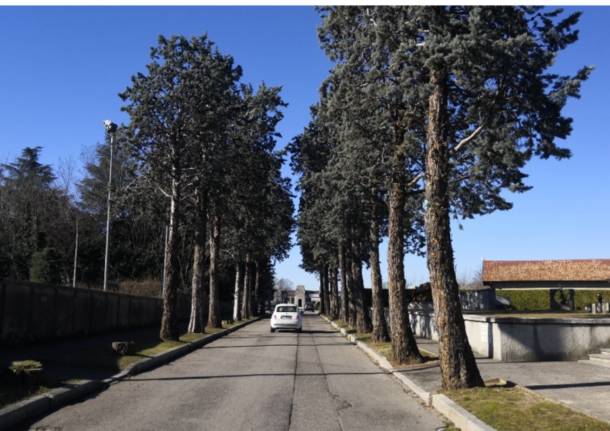 viale rimembranze progetto riqualificazione Lonate Pozzolo 