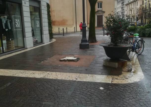 Abbattuto uno dei bagolari in Corso Italia, il Comune di Saronno spiega il perché