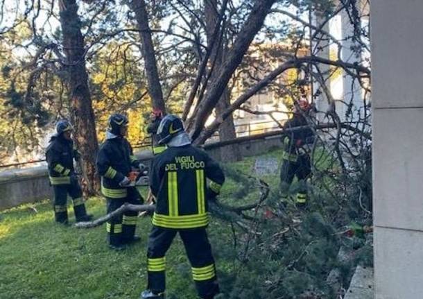 albero caduto cimitero laveno mobello 