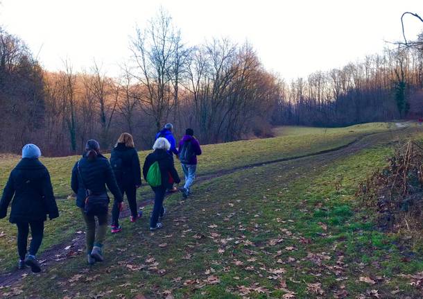 Camminare in compagnia alla scoperta degli spazi verdi del Saronnese