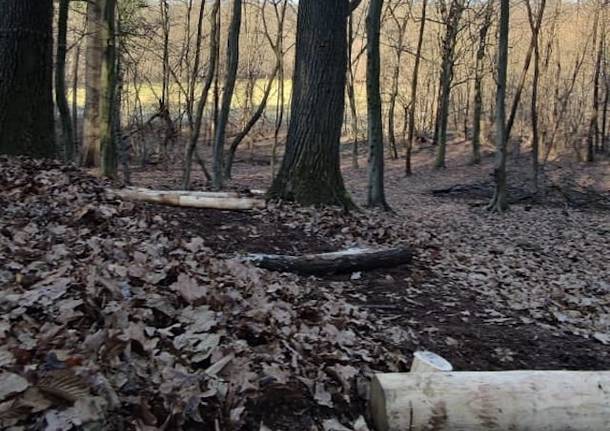 La nuova scala nel Parco Valle del Lanza