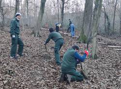 La nuova scala nel Parco Valle del Lanza