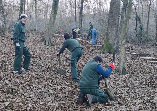 La nuova scala nel Parco Valle del Lanza