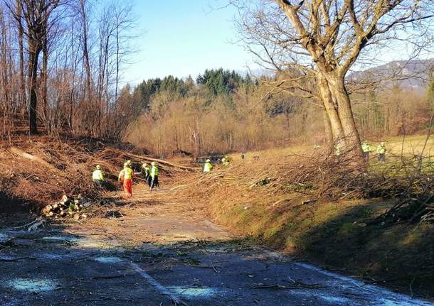 Clivio - Protezione civile al lavoro sulla Provinciale