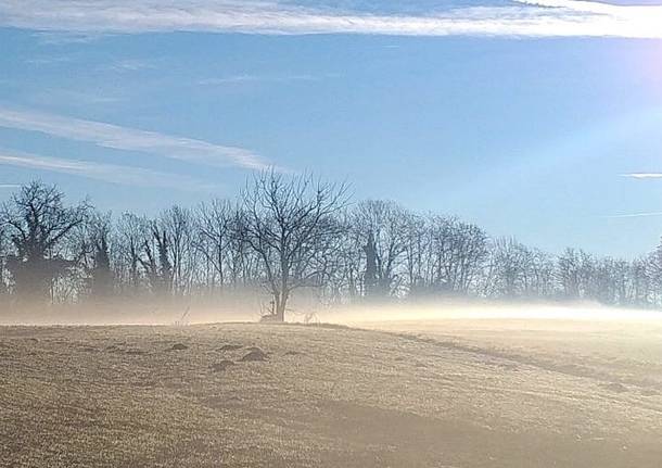 freddo inverno campi  foto Nanda Belliti