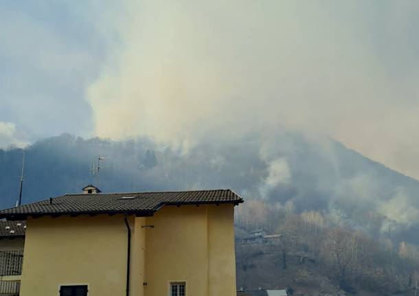 incendio gurro valle cannobina