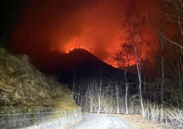 incendio indemini gambarogno gennaio 2022