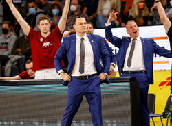 johan roijakker basket