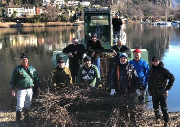 Lavena fascine persici lago ceresio