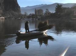 Lavena fascine persici lago ceresio