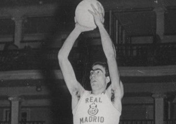 lorenzo alocen basket real madrid