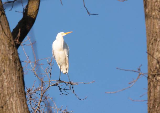 Qualche scatto dal Parco Lura