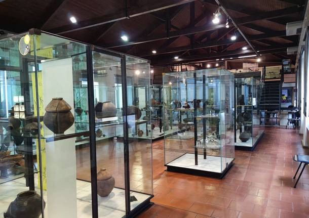 Sesto Calende - Museo Archeologico